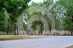 Rural roads have trees on both sides