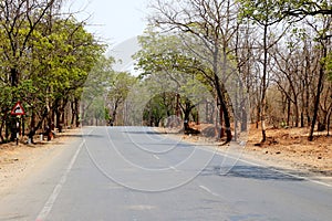 Rural Roads in India leading to the village