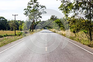 Rural Roads Landscape,tree along the way