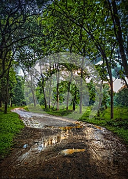 Rural roads soil mansoon waves