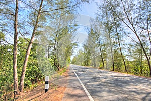 Rural Roads in Thailand