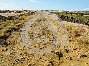 Rural Rocky Dirt Road