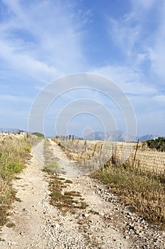 Rural rocky road in Koufonissi island