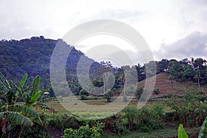 A rural,or rustic landscape in Philippines.