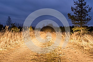 Rural sandy road lit by the headlights of a car. Night autumn scene