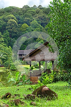 Rural Sarawak, Borneo landscape