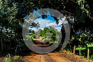 Rural ladscape, bike, road and trees