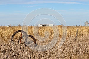 Rural Scene