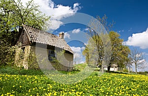 Rural scene