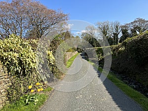 Rural scene, along Low Lane, Cowling, UK