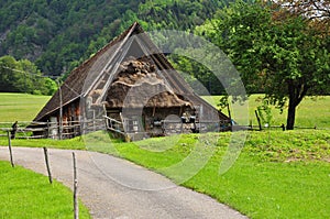 Rural scene: barn in the Carnia region, Friuli, Italy