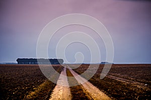 Rural scene in Bilzen Belgium