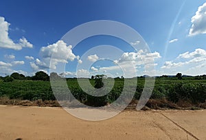 Rural Scene With Clear Sunny Sky