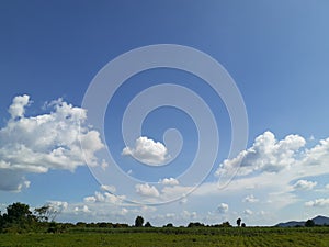 Rural Scene With Clear Sunny Sky