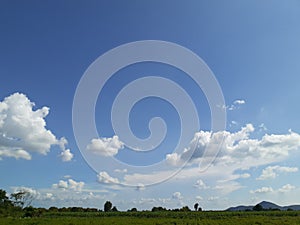 Rural Scene With Clear Sunny Sky