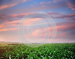 Rural scene with colored clouds