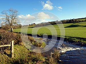 Rural scene, with creek or stream