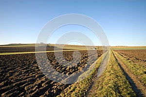 Rural Scene, Germany