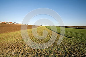 Rural Scene, Germany