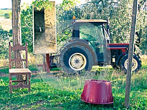 Rural scene after the grape harvest in south Italy