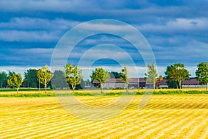Rural scene Harvested field in province of West Flanders Belgium
