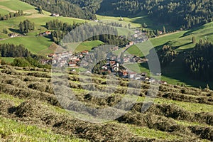 Rural scene during hay harvest in Villnoess in Dolomites