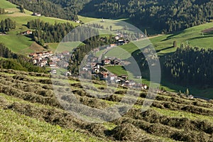 Rural scene during hay harvest in Villnoess in Dolomites photo
