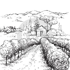 Rural Scene with Houses, Vineyard and Hills Sketch