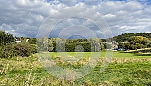 Rural scene, with old trees, wild grasses, and houses near, Shipley, Bradford, UK