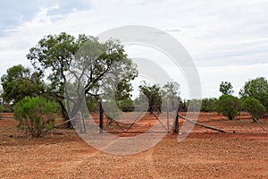 A rural scene in the outback with a gate and fence in typical red-coloured dirt