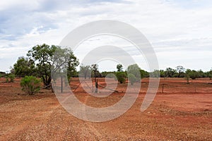 A rural scene in the outback with a gate and fence in typical red-coloured dirt