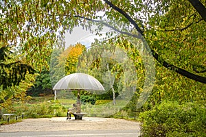 Rural scene at a pond with autumnal colorful trees and a bench that invites you to linger