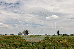 Rural scene with pretty cloudy sky