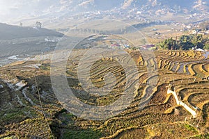 Rural scene of rice field with sunrise from aerial