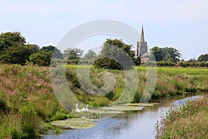 Rural scene, river, swans, village church