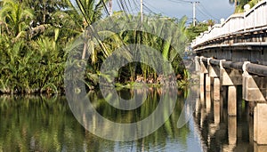 Rural scene with river and trees in Hoi An, Vietnam