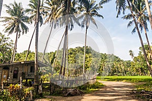 Rural scene on Siquijor island, Philippine