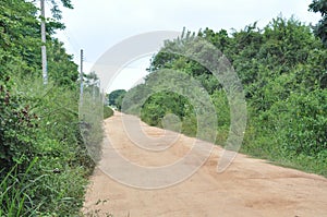 Rural scene - Sri Lankan countryside farm village road among green lush tree