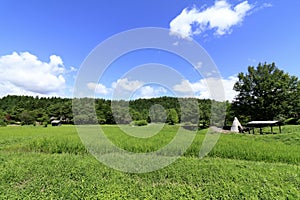 Rural scene in Tono photo