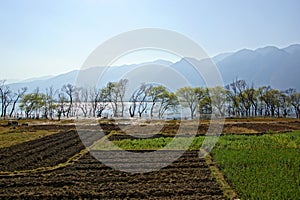 Rural scenery around Erhai lake and Dali, Yunnan province, China