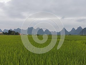 Rural scenery of karst village in Guangxiï¼ŒChina