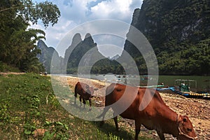 Rural scenery of Li River,Guilin