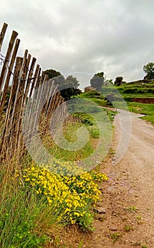 Rural scenery in Northeastern Catalonia.