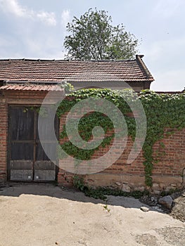 Rural scenery in northern China