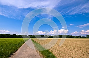 Rural scenery with road