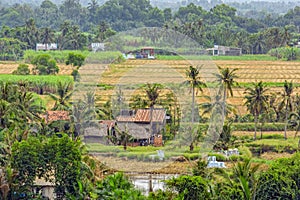 Rural scenery in Vietnam.