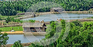 Rural scenery in Vietnam.