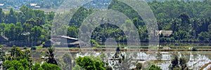 Rural scenery in Vietnam.