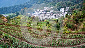 Rural scenery in wuyuan county, jiangxi province, China