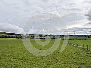 Rural Scotland - green fields and agriculture landscape in spring